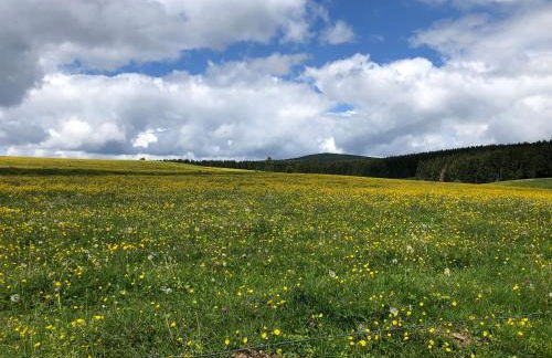 Ferienhaus Mathilda Eins - Foto 28