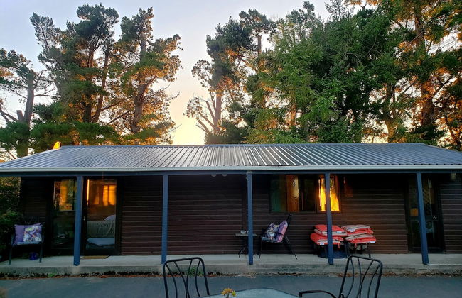 Height of Dunedin - Photo 14