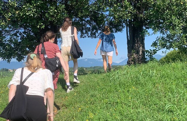 Premium Private Prosecco Hills Tour - 2 Cantine. Tour privato. - Foto 13