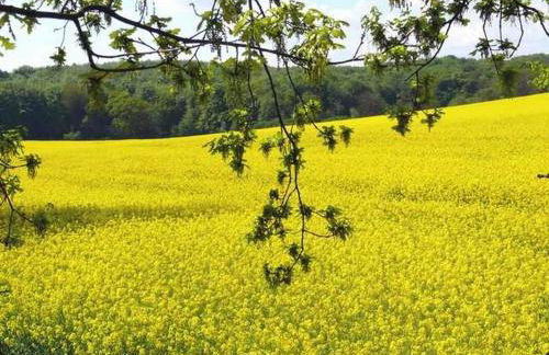 Appartement Meeresrauschen - Foto 36