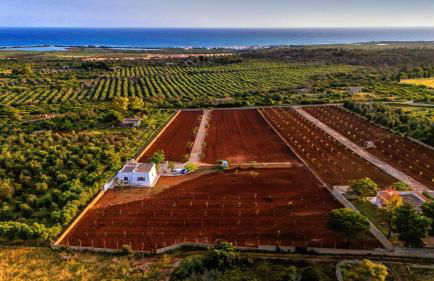 Villa Alymir - Foto 19