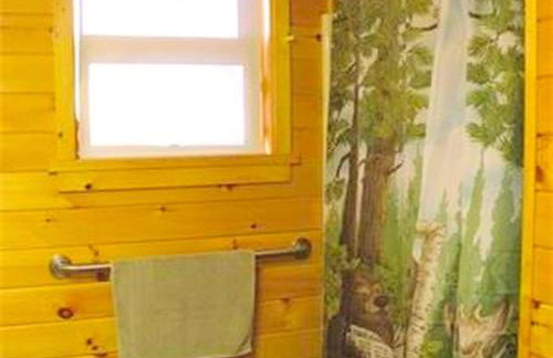 Secluded Cabin Nestled in the Mountains near the Tioga State Forest, Pennsylvania - Foto 38