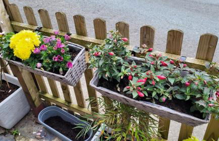 The Granary Corris on the edge of the Dyfi Forest - Photo 25