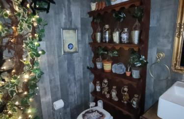 La Pensine du célèbre sorcier - Foto 13