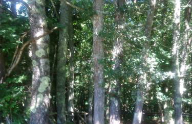 Casa de Aldea El Torrexon - Foto 27