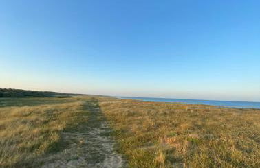 VILLA bord de mer 85 SPA de nage Les Conches - Photo 40