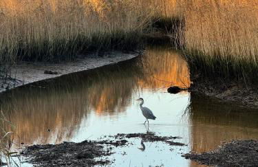 Good Vibes - Foto 22