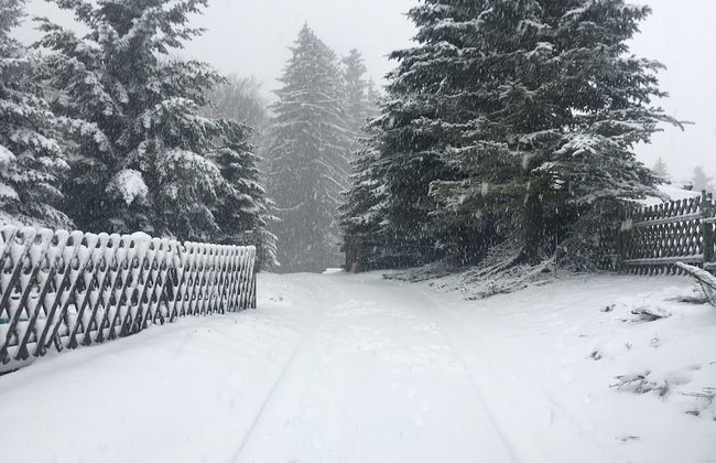 Chalet in Levinska Ole Near Giant Mountains - Foto 29