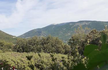 STUDIO VENTOUX - Foto 13