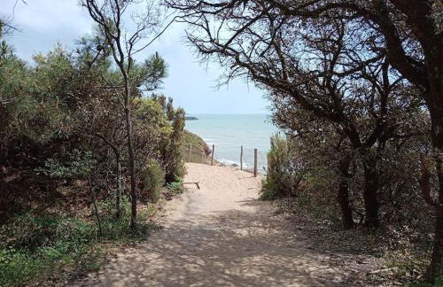 Charmant T2 au coeur du golf de port Bourgenay - Foto 32