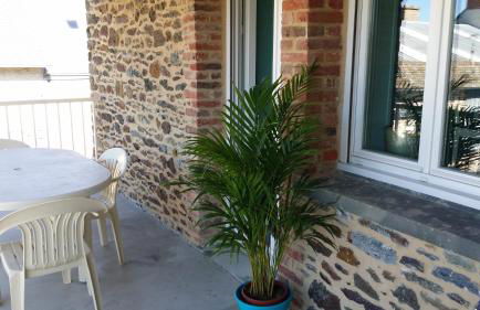 Le clos de la cote d'Emeraude - Foto 43