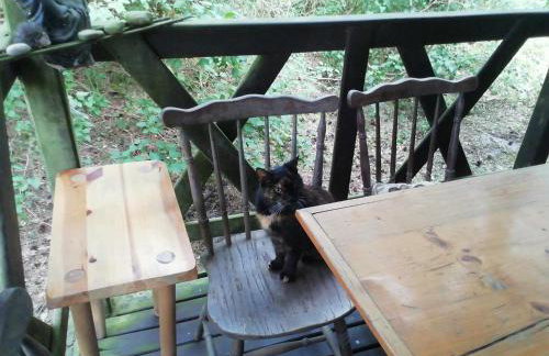 Przystań u Zosi - Foto 14