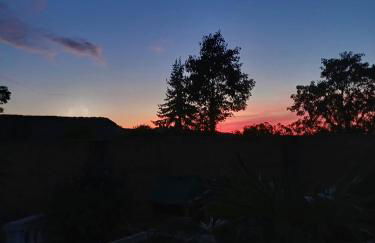 Ferienwohnung Neli am Rhein - Foto 9