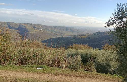 From the city to nature Mezzane di sotto VR pet-friendly - Foto 20