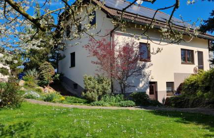 Spatzenvilla - Foto 7