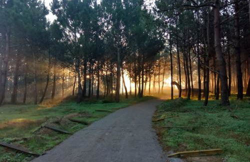 West Terrace House - Ocean View - Foto 28