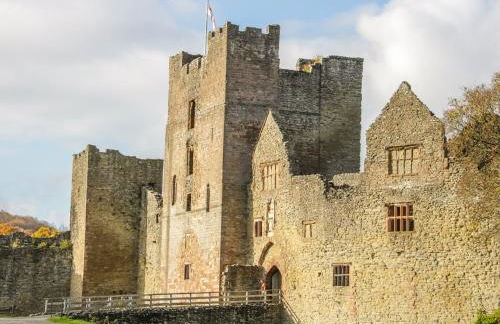 The Chestnuts - Foto 43