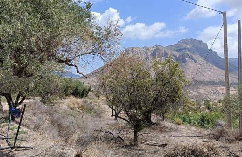 Cortijo Ciprés - Foto 14