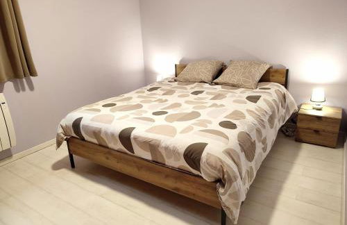 Les Randogodilleurs avec Jacuzzi à 2kms des pistes et 350m du Théatre du Peuple ! - Foto 13