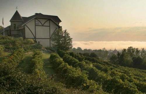 NEW! VillaBella Luxury Farmhouse - Foto 25