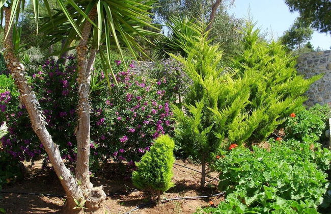 Feels Like Your Home at Ermioni - Photo 28