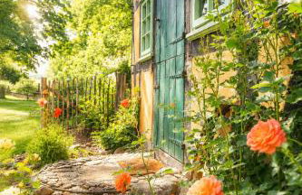 Idyllisches Ferienhaus Nähe Dümmer See Auszeit Sauna Natur - Foto 1
