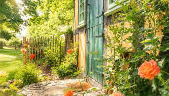 Idyllisches Ferienhaus Nähe Dümmer See Auszeit Sauna Natur - Photo 1