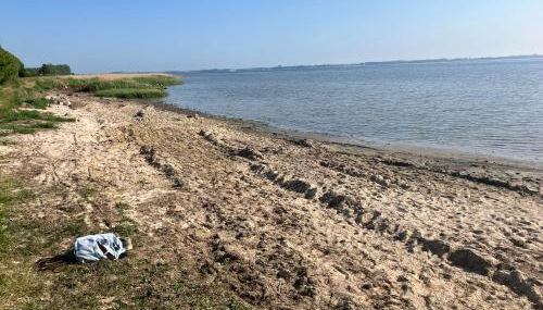 Grosse 4 Sterne Ferienwohnung beim Boddenstrand - Foto 4