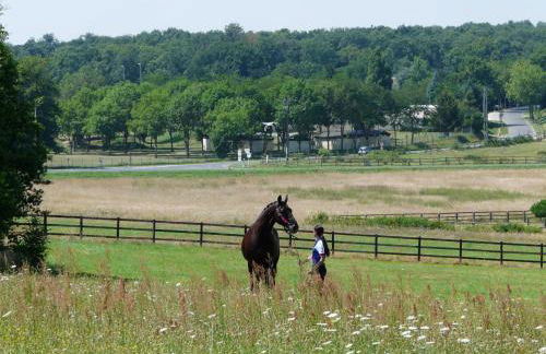 Domaine équestre de la Chênaie - Foto 22