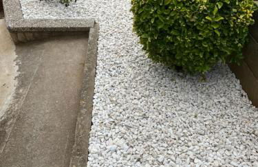 Cals Avis de Sau - Foto 11