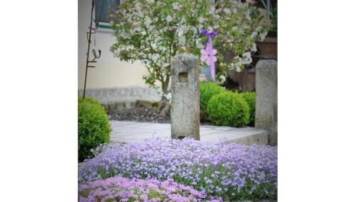 Holiday apartment with 1 bedroom - Foto 3, Other