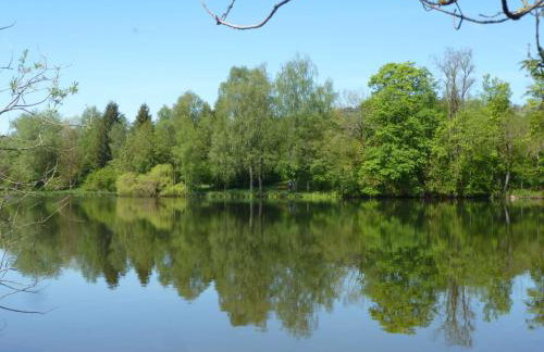 Ferienwohnung in Kempten am Stadtweiher - Foto 8