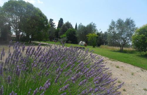 Fullino Nero Rta - Residenza Turistico Alberghiera - Photo 18