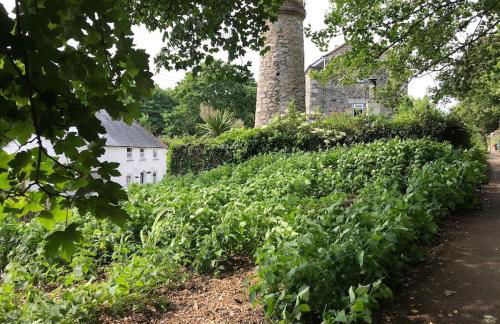 A woodland retreat - Apartment in converted mill - Foto 1