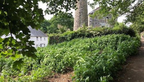 A woodland retreat - Apartment in converted mill - Foto 1