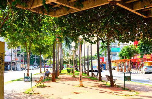 Flor do Cerrado - Foto 15