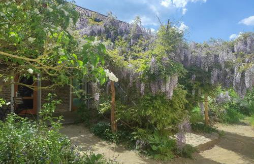 Dreigärten Brodowin - Foto 31