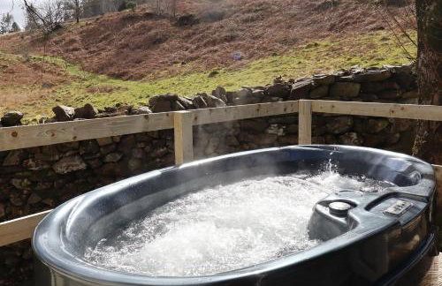 Ash Cabin with Hot Tub - Foto 28