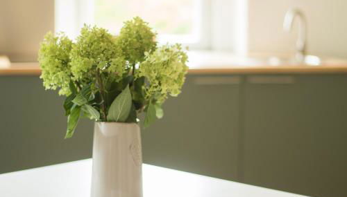 Ferienwohnung Schwalbennest - Foto 4