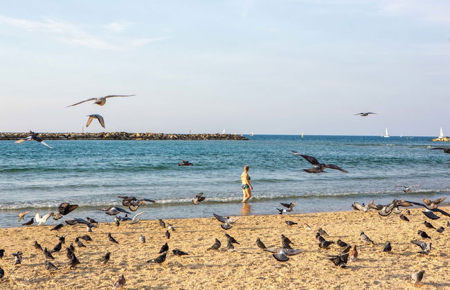 Premium suites on Beach Ben Yehuda 43 - Foto 30