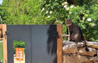 Apartma Under The Drunk Railroad - Foto 14