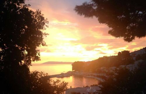 Apartments Strandburg Kroatien - Photo 25