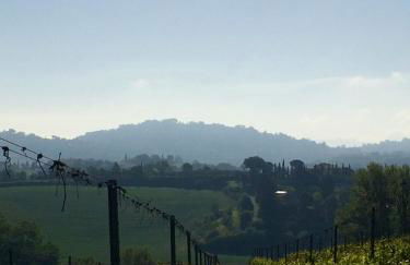 Agriturismo San Gregorio - Foto 39