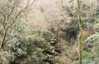 Casa da Torre, Porto Manso - Foto 45