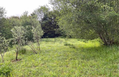 Slieve Gallion, Rural Retreat with Lough Erne View - Foto 22