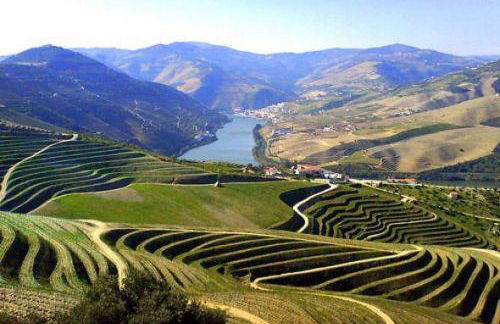 Casa do Beco B&B Douro - Guest House - Foto 73