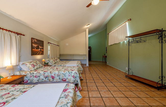 Fazenda Realeza - Foto 7