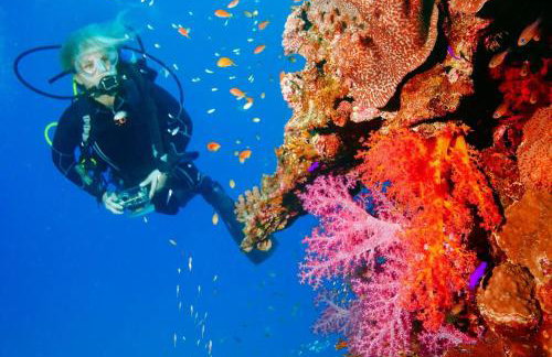 Luxury House with Movie Theater - Foto 71