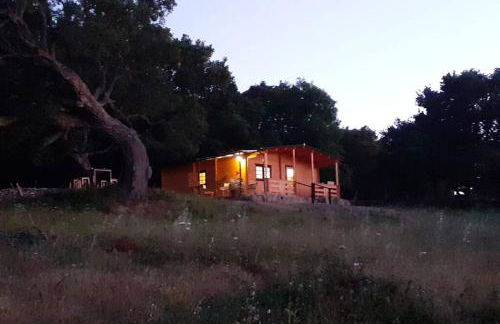 Eco Lodge nella natura Con Piscina privata "La Grande Quercia" - Foto 73