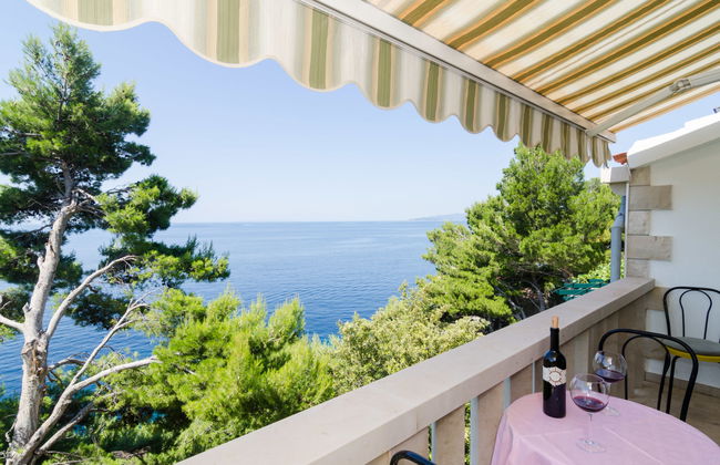 Plavac Mali - Foto 3